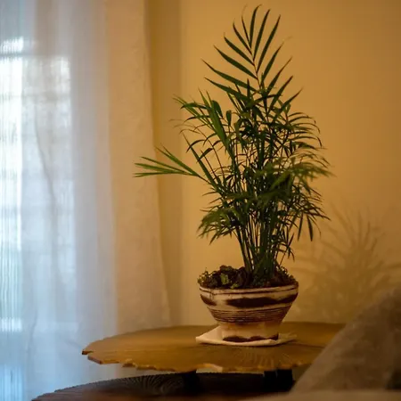 Apartamento Lisoni Penthouse Nauplia